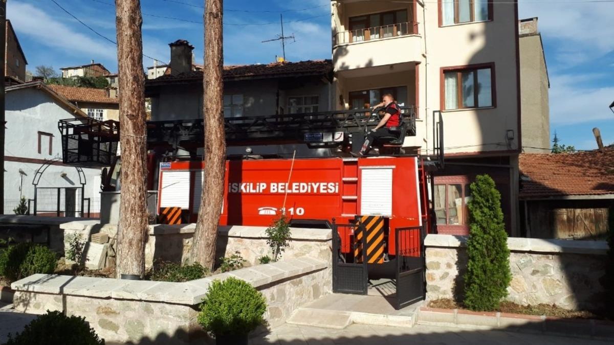 Ağa&ccedil;ta mahsur kalan kediyi itfaiye kurtardı