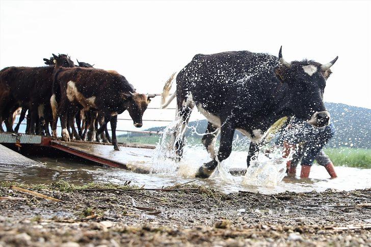 Yörükler kayıklarla göçüyor! Mada Adası yolculuğu başladı G5