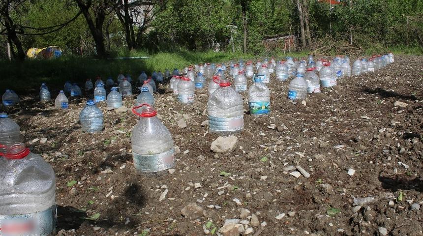 Fideleri zarar g&ouml;rmesin diye pet şişelerle koruyor