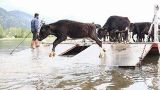 Yörükler kayıklarla göçüyor! Mada Adası yolculuğu başladı