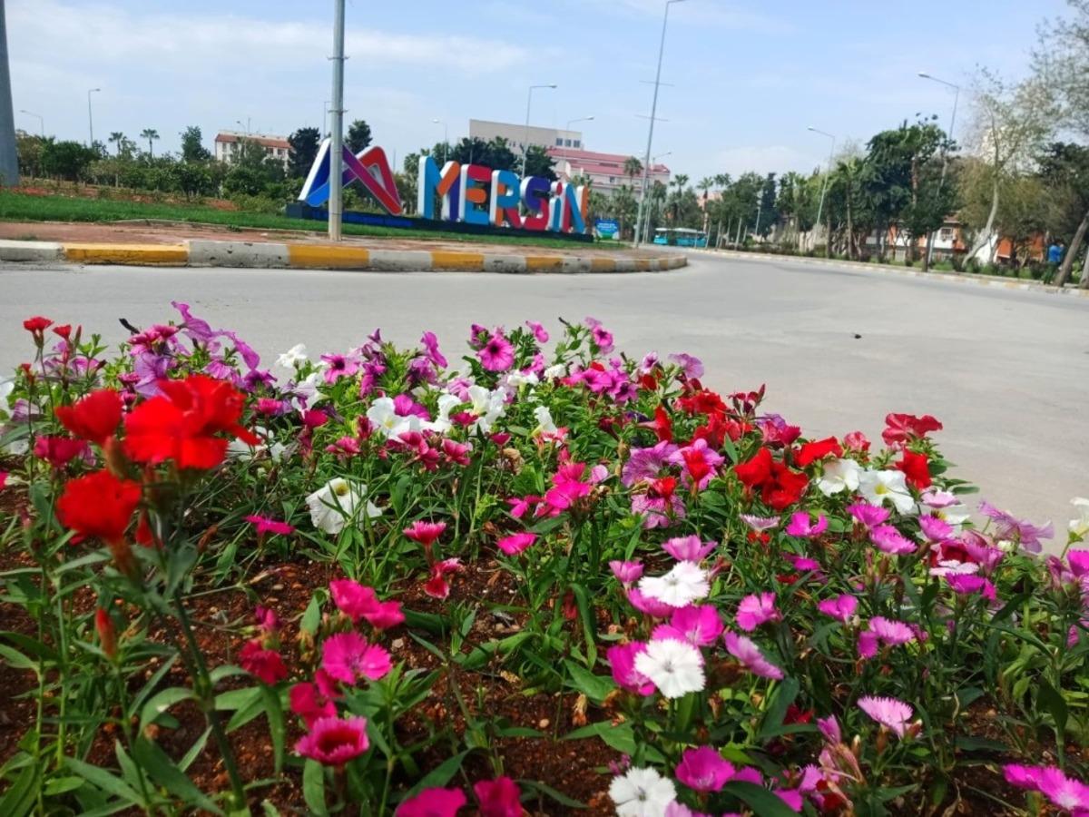Mersin, yaz &ccedil;i&ccedil;ekleriyle renklendi