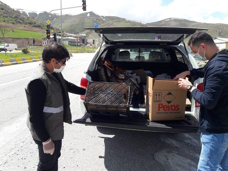 Küçük Balaban kuşu ve Kızıl Şahin tedavi altına alındı G3