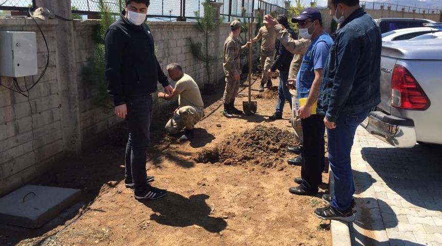 Bing&ouml;l&rsquo;de fidan dikimi