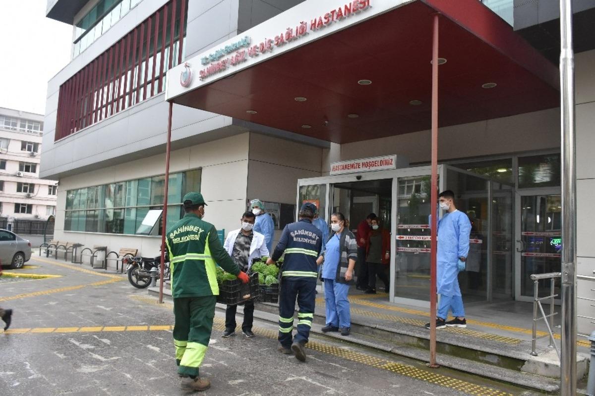 Şahinbey&rsquo;de vatandaşlara reyhan &ccedil;i&ccedil;eği dağtıldı