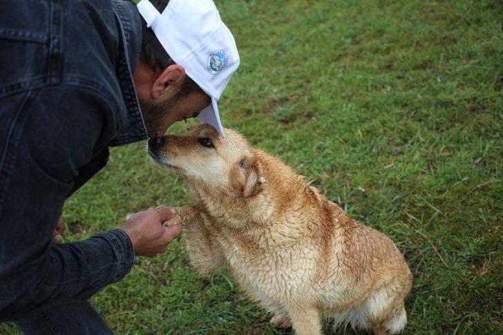 Sokak hayvanlarını özel ekip besliyor G3