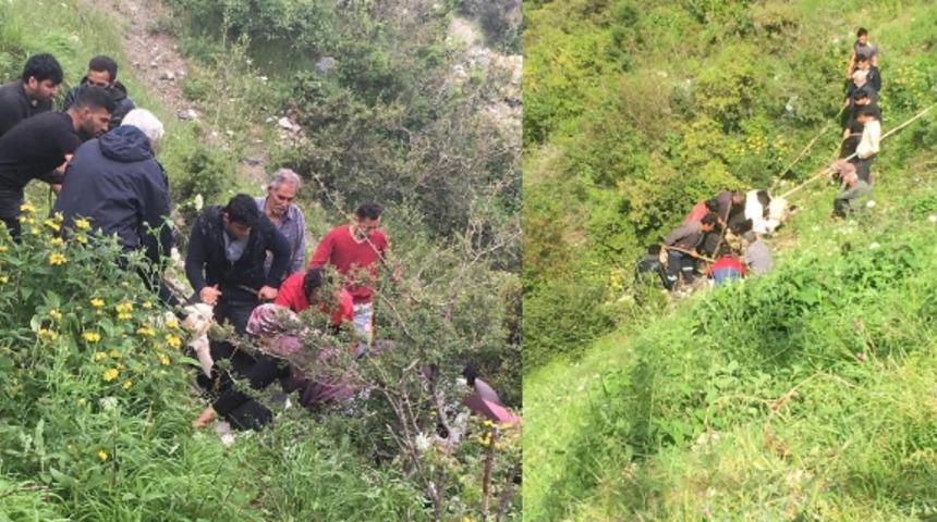 Hatay'da dere yatağına d&uuml;şen ineği vatandaşlar kurtardı