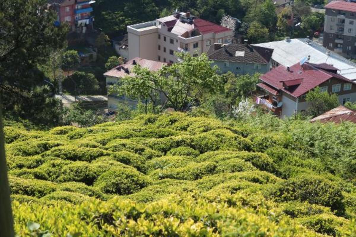 6 bin 900 TL maaşla, 2 bin &ccedil;ay iş&ccedil;isi arıyorlar