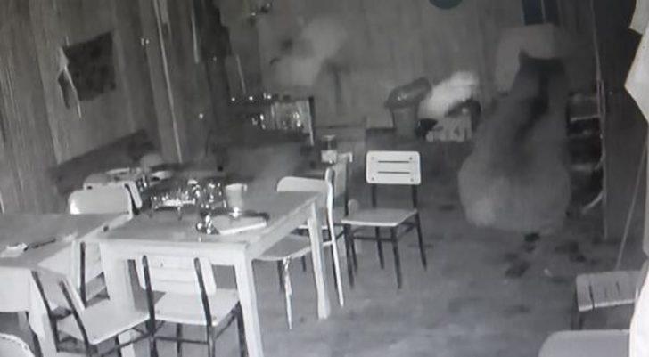 Ayı karnını doyurmak için alabalık tesisine girdi G3