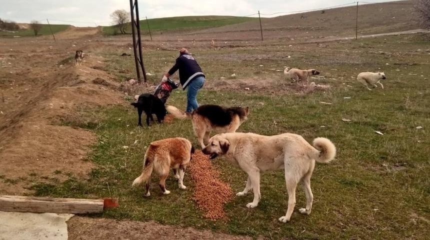 Sokağa &ccedil;ıkma yasağında &ccedil;alışmalar devam ediyor