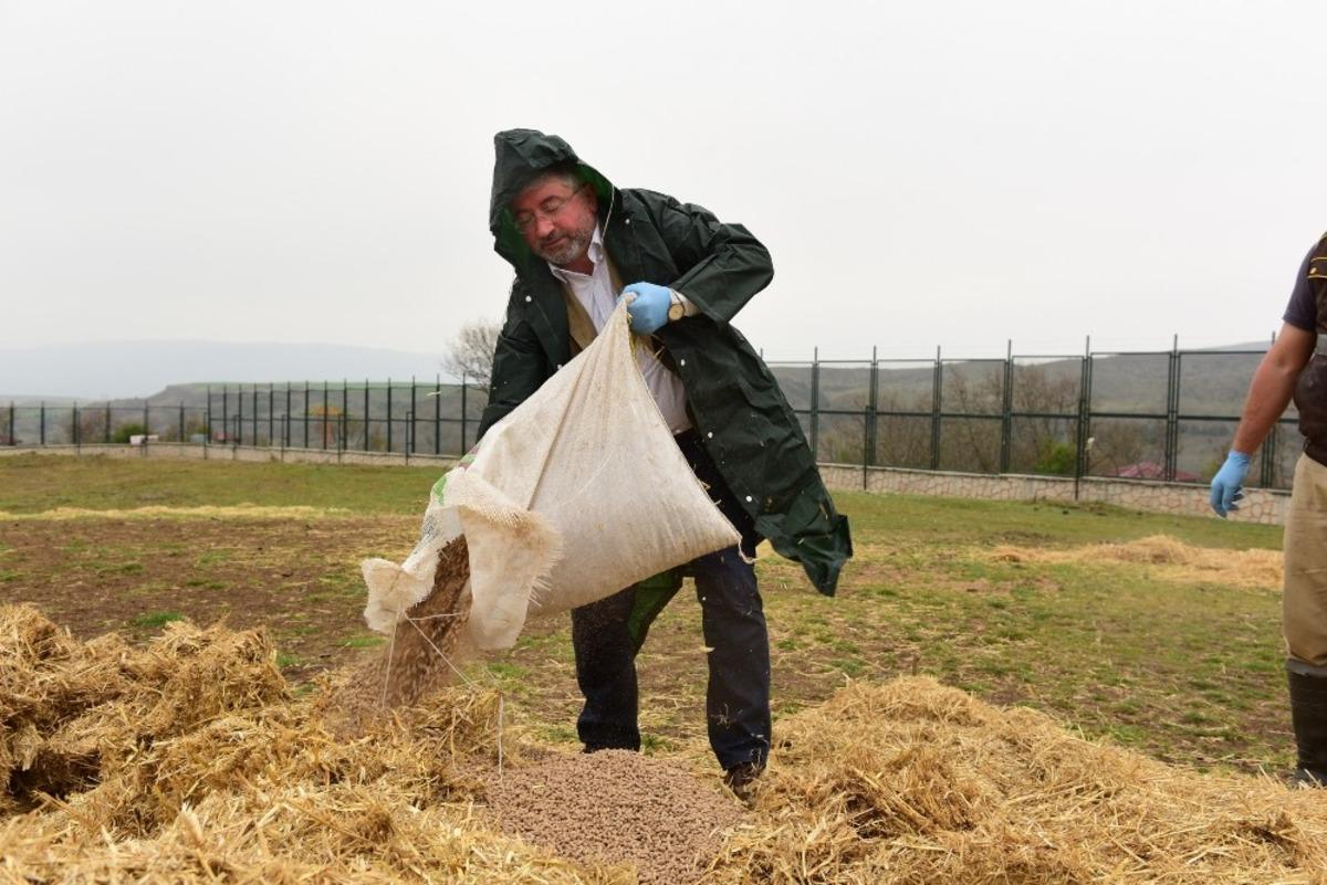 Başkan Aşgın, sokak ve yaban hayvanları i&ccedil;in kendi elleriyle yem hazırladı