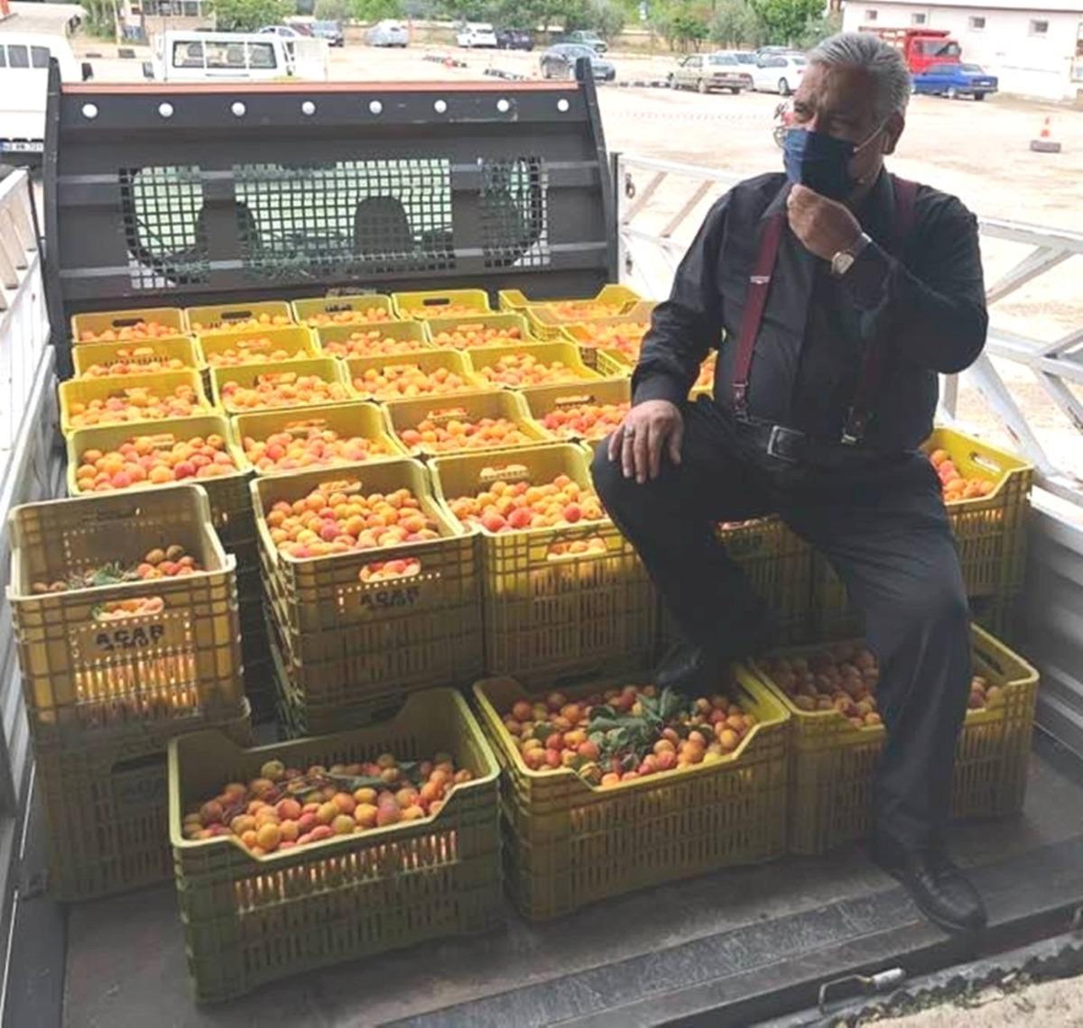 Mut&rsquo;ta kayısı &uuml;reticisi fiyatlardan, t&uuml;ccar kaliteden memnun