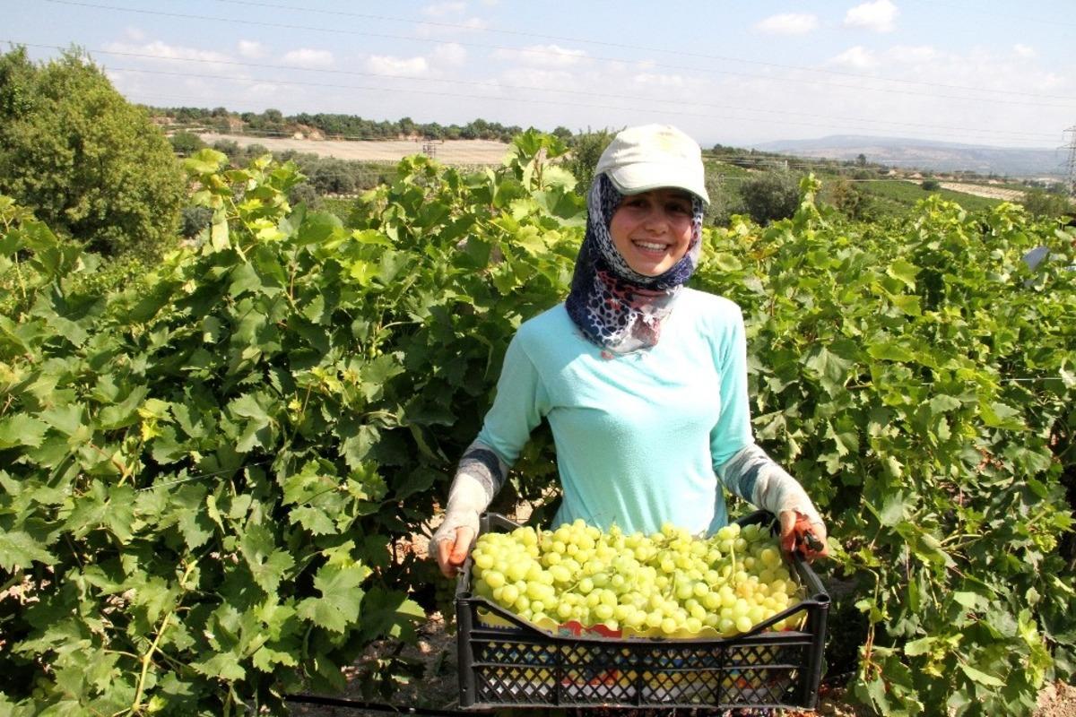 Se&ccedil;er:  &ldquo;2020 b&uuml;t&ccedil;esinde yer alan tarımsal projelerde kısıntıya gitmeyeceğiz&rdquo;