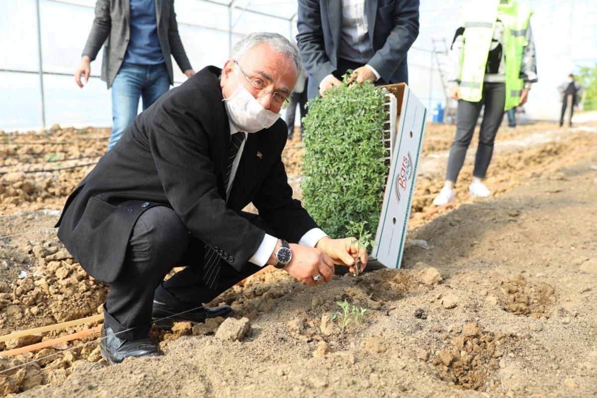Ordu&rsquo;da s&ouml;zleşmeli tarım başlıyor