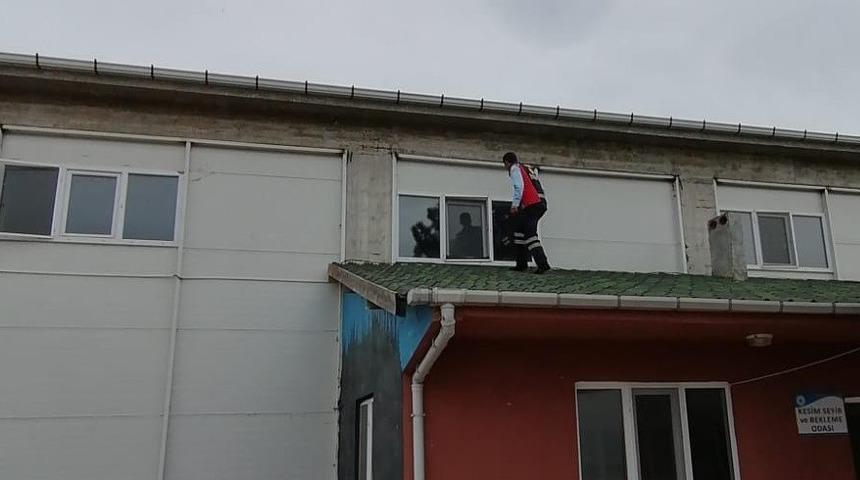 Camdaki sinekliğe sıkışan kırlangı&ccedil; kurtarıldı