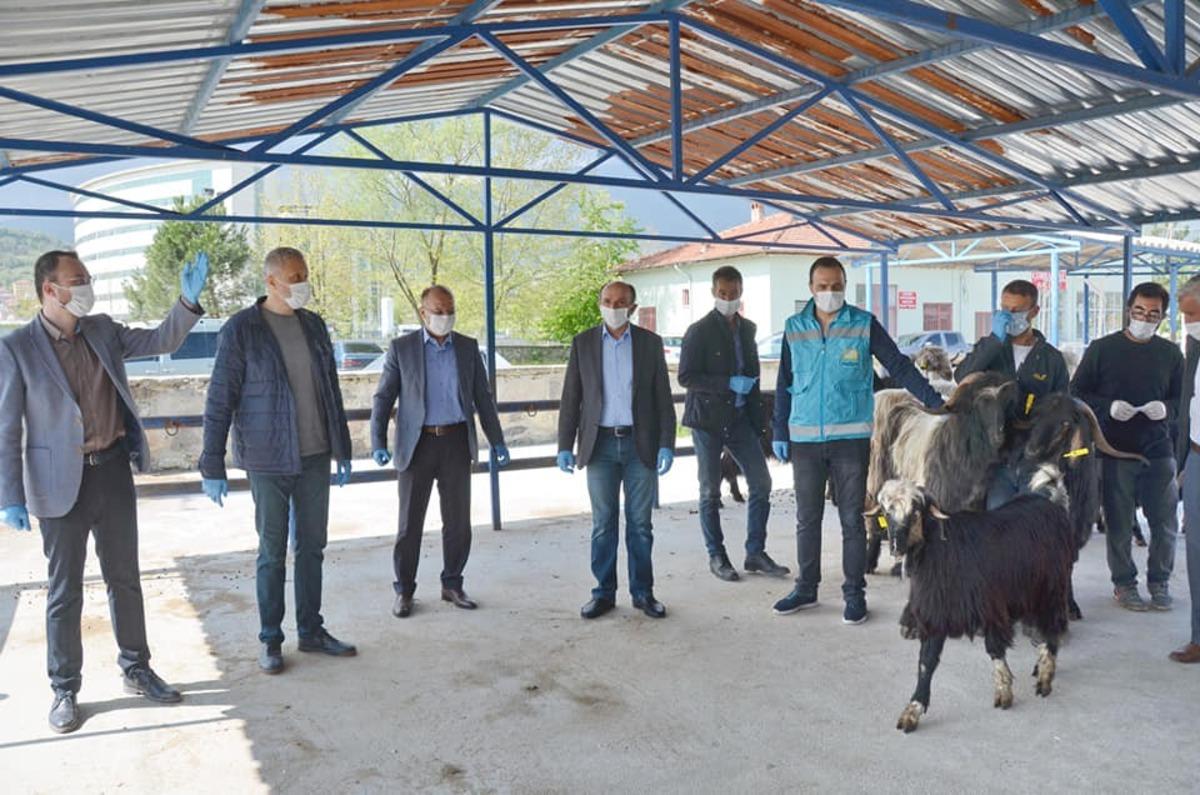 Simavlı 22 &ccedil;ift&ccedil;iye Honamlı tekesi desteği