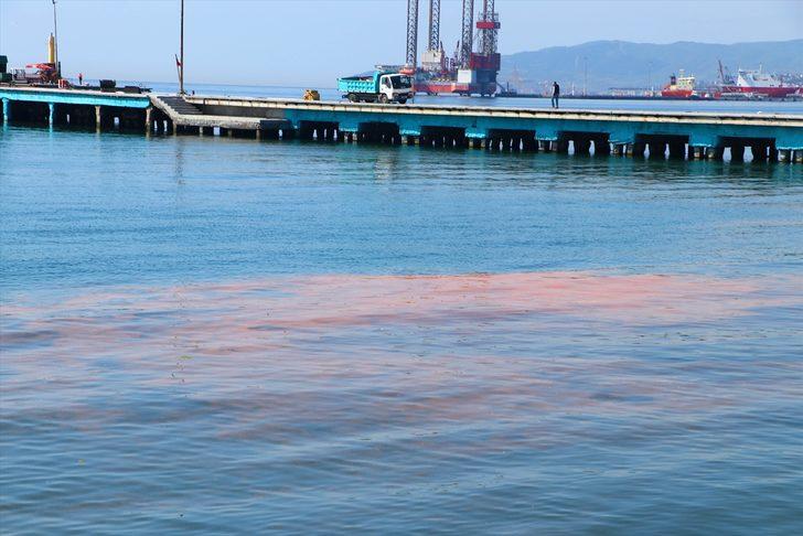 Planktonların çoğalmasıyla Marmara Denizi turuncuya büründü G2