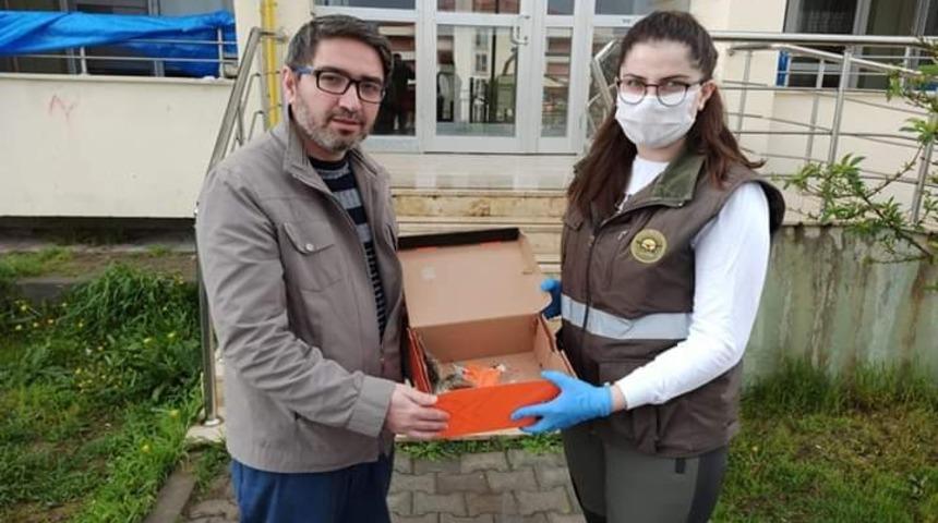 Yaralı yavru g&uuml;vercin tedavi altına alındı