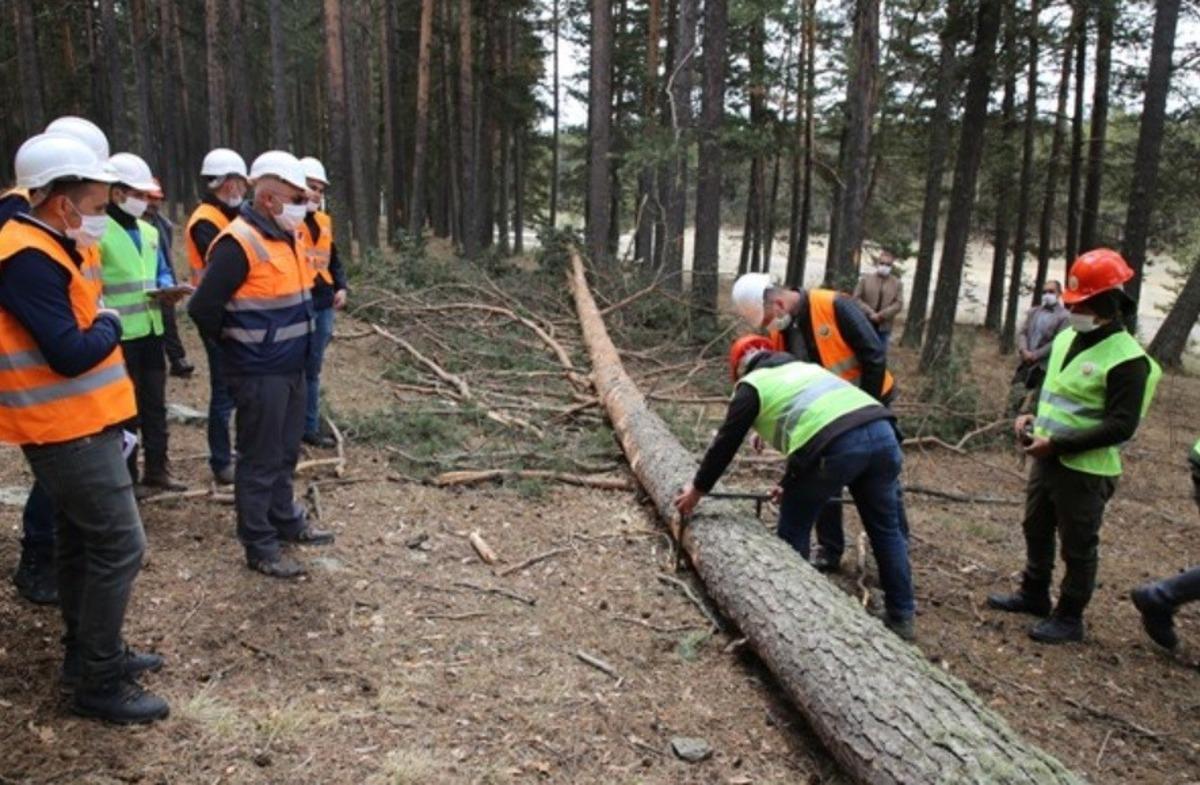 Orman sahasında eğitim &ccedil;alışması
