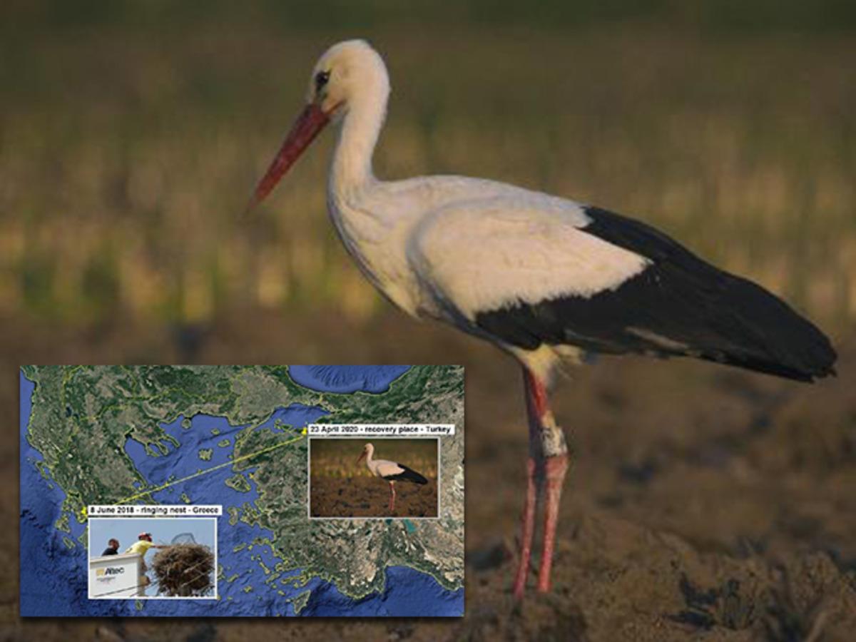 2 yıl sonra ortaya &ccedil;ıktı! Y&uuml;rek ısıtan hikaye