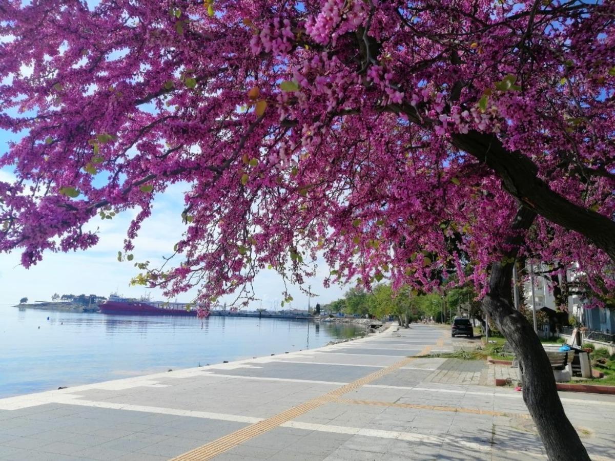 Turizm cenneti Erdek&rsquo;te kartpostallık g&ouml;r&uuml;nt&uuml;ler