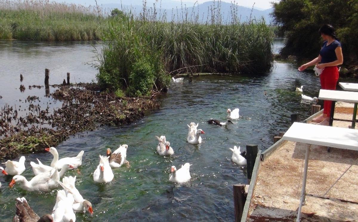 Azmağın sembolleri a&ccedil; kaldı