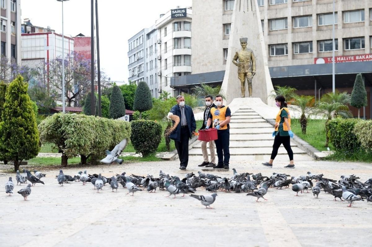 Başkan Akay g&uuml;vercinleri besledi
