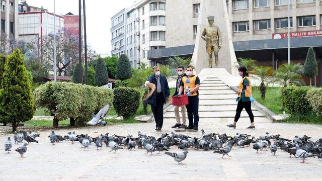 Başkan Akay güvercinleri besledi