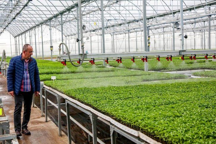 Meram Sebze Fidesi Üretim Tesisinde fide satışları başladı G3