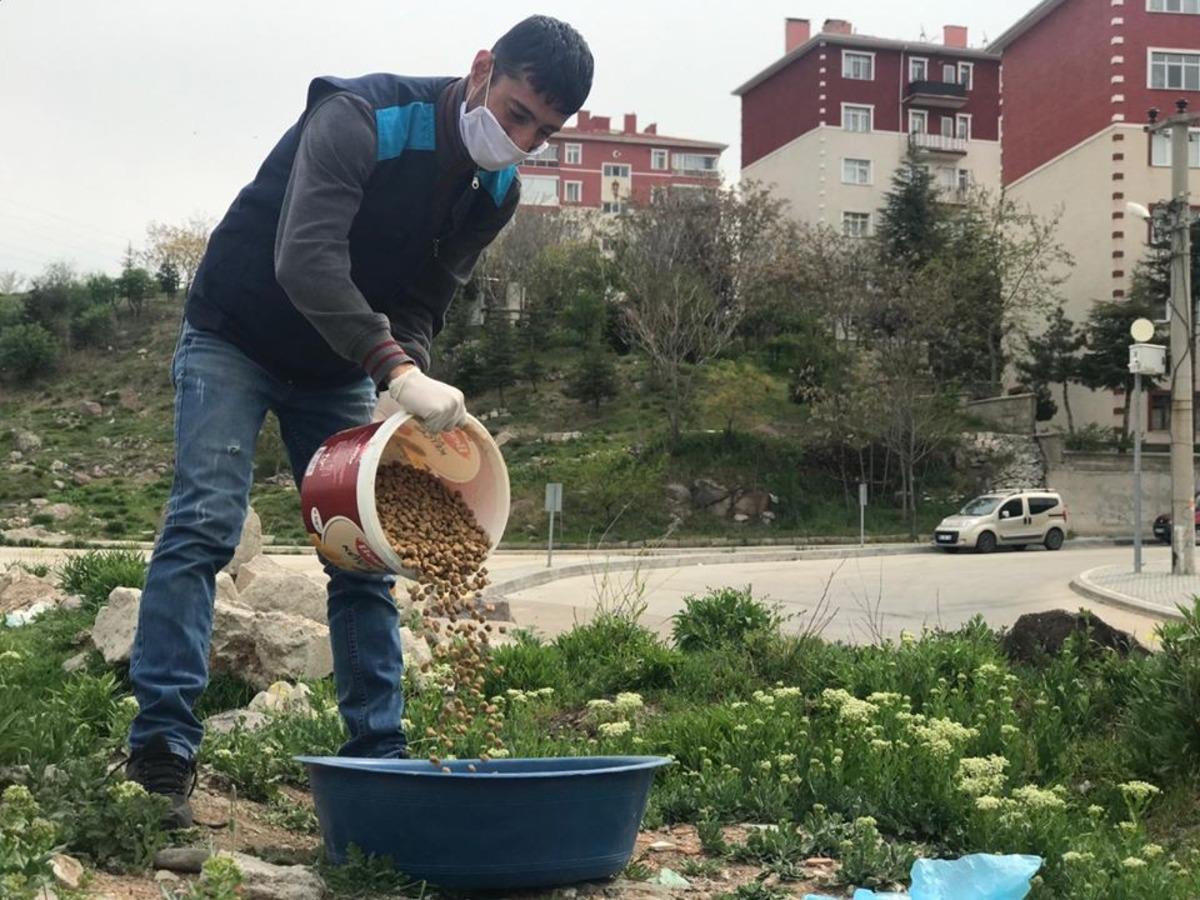 Sincan Belediyesi sokak hayvanlarına sahip &ccedil;ıkıyor