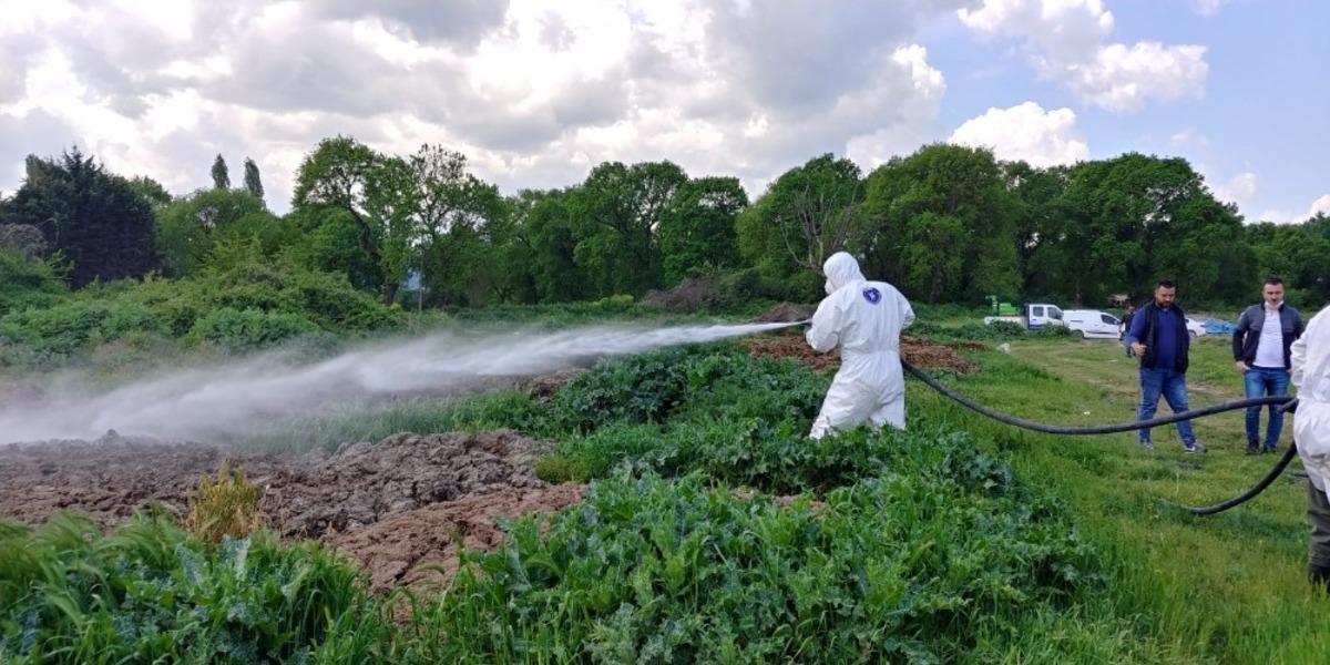 Bursa&rsquo;da 2 milyon metrekarelik alanda ila&ccedil;lama ger&ccedil;ekleştirildi