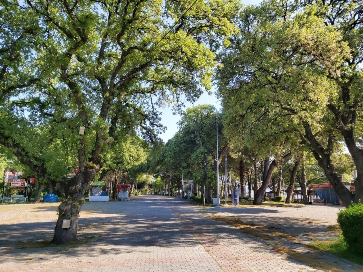 Burhaniye&rsquo;de bah&ccedil;elere g&uuml;l g&uuml;zelliği