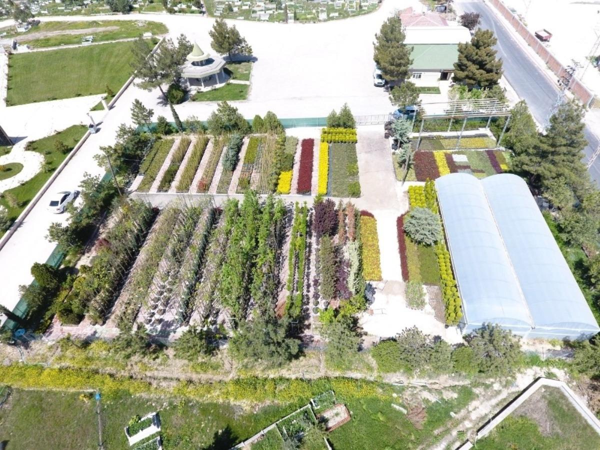 Suluova&rsquo;da yılda 100 binin &uuml;zerinde bitki ve &ccedil;i&ccedil;ek &uuml;retimi