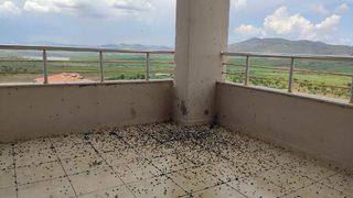 Batman Gercüş'te evin balkonunu kara böcekler bastı