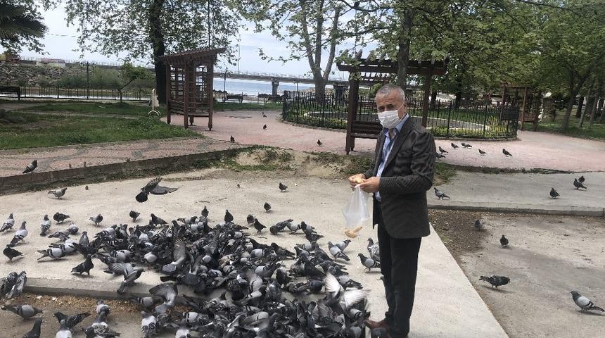 Sokak hayvanlarını gazeteciler besledi