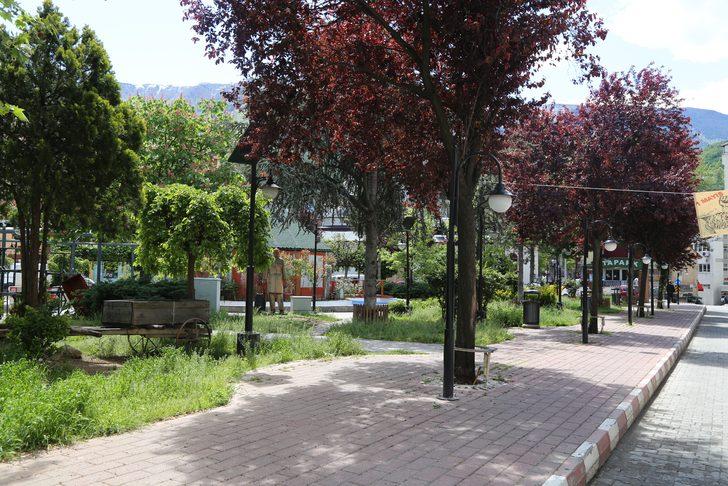 Artvin'de 17 gündür koronavirüs vakası görülmüyor G1