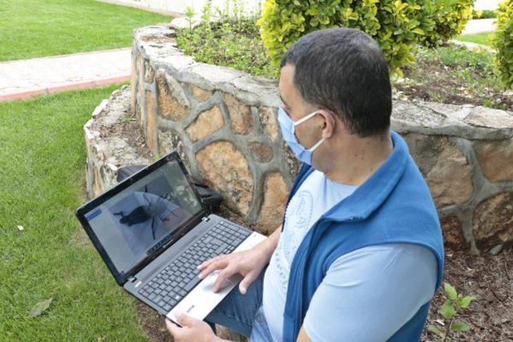 Akarca Ovası'nda çekirge istilası! 'Güneydoğu'dan tarım işçileriyle geldi' söylemi tartışma yarattı G3