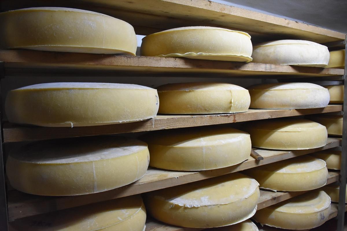 Yaylalardan gelen doğal lezzet: Gravyer