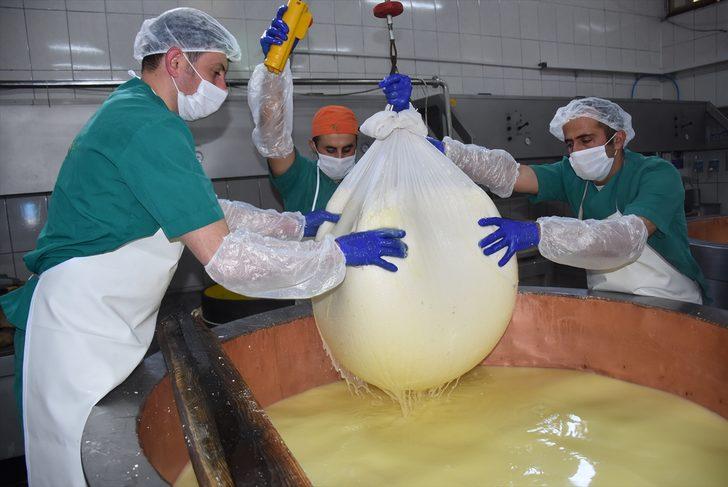 Yaylalardan gelen doğal lezzet: Gravyer G1