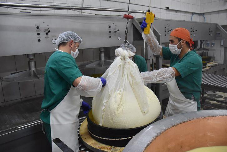 Yaylalardan gelen doğal lezzet: Gravyer G3