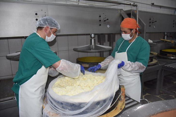 Yaylalardan gelen doğal lezzet: Gravyer G4