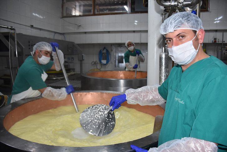 Yaylalardan gelen doğal lezzet: Gravyer G5