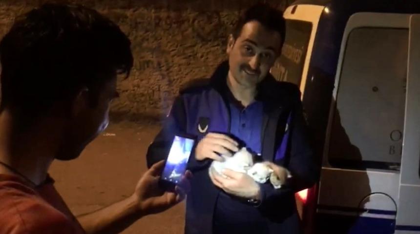 Yavru kediler ve annelerini zabıta kavuşturdu