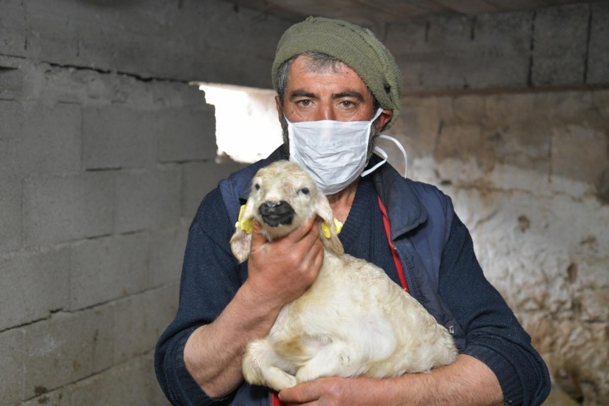 20 yıl sonra k&ouml;y&uuml;ne geri d&ouml;nerek besiciliğe el attı