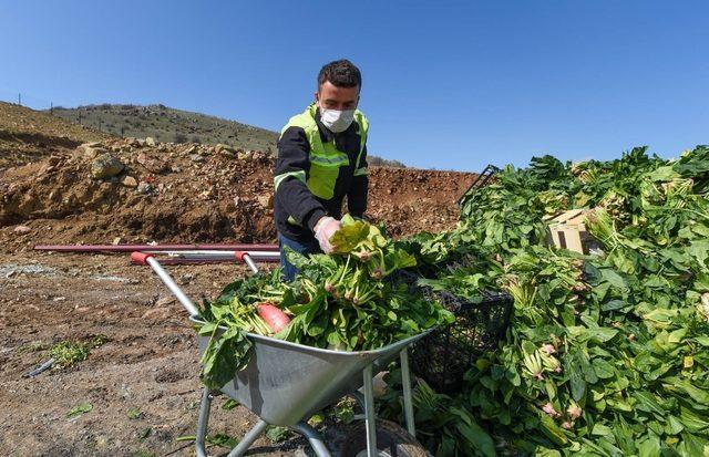 Altındağ Belediyesinden geri dönüşüme destek