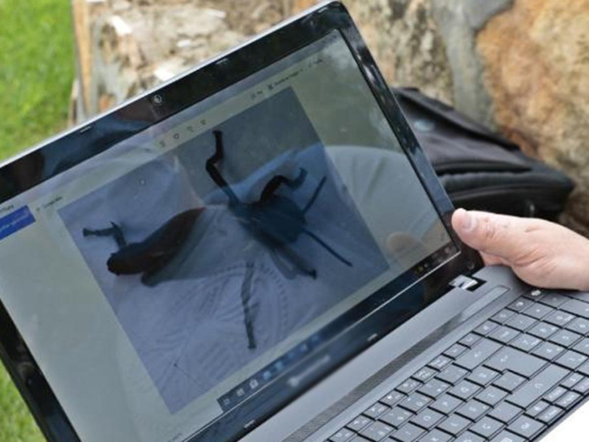 Akarca Ovası'nda &ccedil;ekirge istilası! 'G&uuml;neydoğu'dan tarım iş&ccedil;ileriyle geldi' s&ouml;ylemi tartışma yarattı