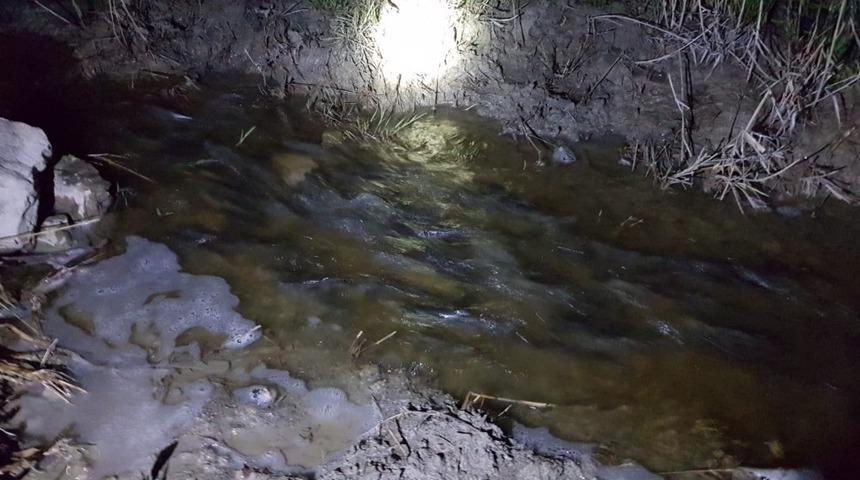 Erçek Gölü’nde yaşayan inci kefali balığı göçe başladı