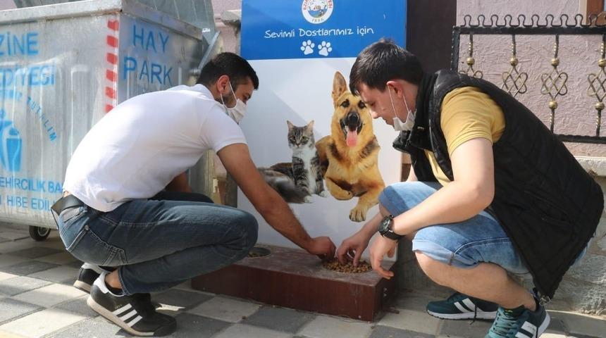 Ezineli gen&ccedil;lerden &ouml;rnek davranış