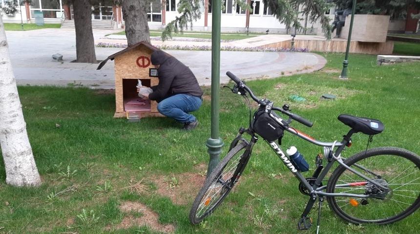 Rekt&ouml;r &Ccedil;omaklı kamp&uuml;steki sokak hayvanlarını unutmadı