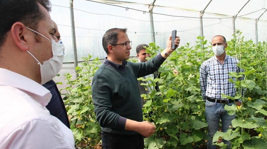Şırnaklı &ccedil;ift&ccedil;i ilk mahsul&uuml;n gelirini &rsquo;Biz Bize Yeteriz T&uuml;rkiyem&rsquo; kampanyasına bağışlayacak