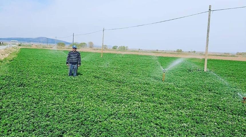 Başkan Hikmet Koyak: "Yonca &uuml;retiminde y&uuml;ksek rekolte bekliyoruz"